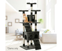 180cm Cat Scratching Post Tree with Free Delivery