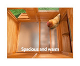 Deluxe Chicken Coop with Free Delivery