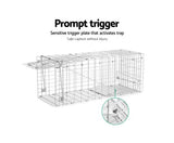 Humane Animal Trap with Free Delivery